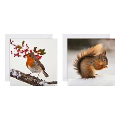 Imagen de Hallmark Tarjetas de Navidad Paquete 16 en 2 diseños National Geographic, 25572278