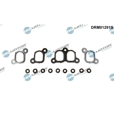 Imagen de DR.MOTOR AUTOMOTIVE DRM01291S Juego de juntas, colector admisión VOLKSWAGEN: Touareg I, Transporter 5 Bus,