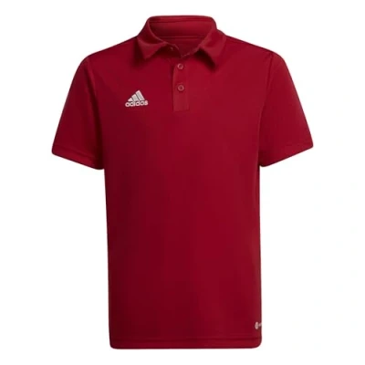 Imagen de ADIDAS ENT22 Polo Y Camiseta, Team Power Red 2, 116 Unisex