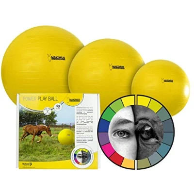 Imagen de Maximus Pelota de juego poder 65 Amarillo