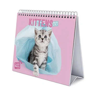 Imagen de Erik Calendario de Escritorio 2021 Studio Pets Cats, 17x20 cm