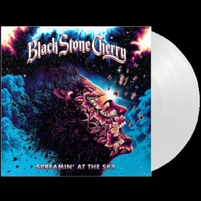 Imagen de Screamin&#039; At The Sky [Vinilo]