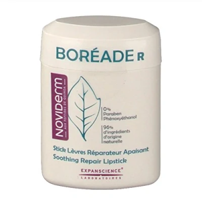 Imagen de BOREADE R STICK REPARADOR (1 ENVASE 9,2 g)