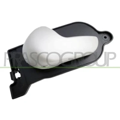 Imagen de PRASCO FD3408608 Manecilla de Puerta interior, Atrás izquierda, Delante, izquierda beis FORD: FIESTA 5