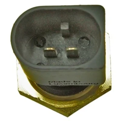 Imagen de METZGER 0905471 Sensor de Temperatura Aceite con junta