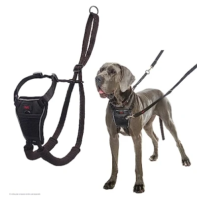 Imagen de Arnés anti tirones HALTI para evitar que tu perro tire de la correa, Ajustable, Ligero y Fácil Usar. Reflexiva Adiestramiento canino perros grandes (Talla L)
