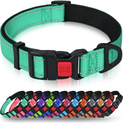 Imagen de Taglory Collar Perro, Nylon Reflectante Neopreno Forrado Ajustable para Perros Pequeños, Turquesa