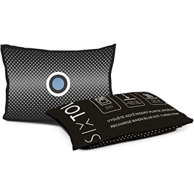 Imagen de SIXTOL DRY CAR ONE Cojín para deshumidificación del coche, 350 g, gris