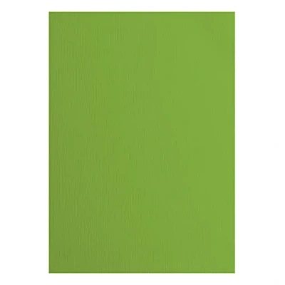 Imagen de Florence Lote de 10 Tarjetas Papel con Textura, 216 g/m², tamaño, Color Verde, Frog, DIN A4