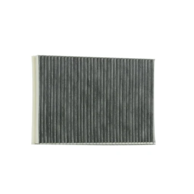 Imagen de VALEO CLIMFILTER PROTECT 698875 Filtro de habitáculo carbón activado 302 199 30 OPEL: Astra H TwinTop, Hatchback, GTC