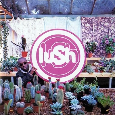 Imagen de Lovelife (Reissue) [Vinilo]