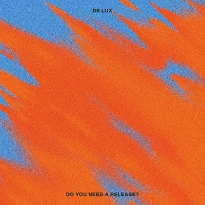 Imagen de Do You Need A Release? [Vinilo]