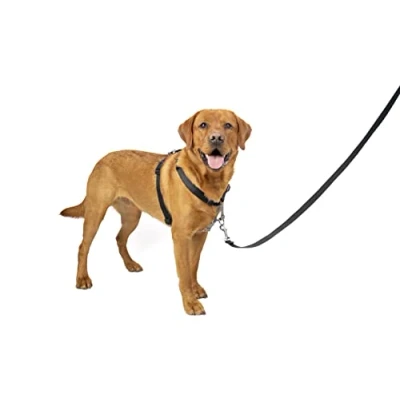 Imagen de PetSafe 3 en 1, Arnés Antitirones Para Perros, Ajustable, Acolchado, Reflectante, Cinturón de Seguridad Coche, Correr y Pasear Negro, L
