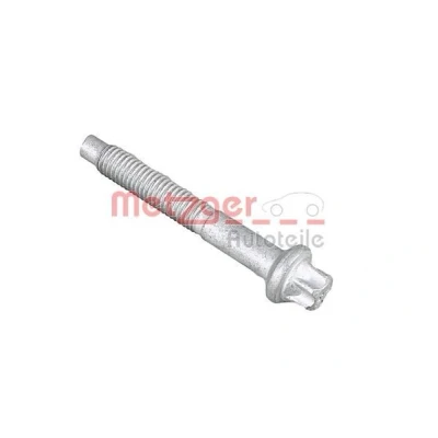 Imagen de METZGER 0871022S Tornillo, soporte inyector CITROËN: C4 Grand Picasso 2, C3 II, Berlingo / First I Furgón, PEUGEOT: 308 II Hatchback