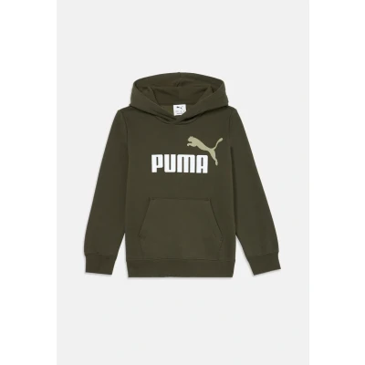 Imagen de PUMA ESS 2 Color No. 1 Logo Hoodie FL B