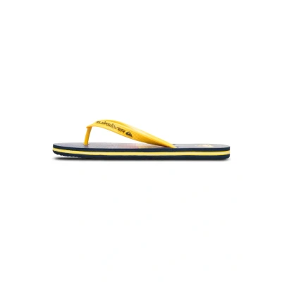 Imagen de Quiksilver Molokai Stripe 25 Chanclas de dedo, Hombre, Talla: 42, Bsw6 Fibra sintética