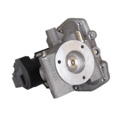 Imagen de WAHLER 710965D/1 Válvula EGR eléctrico con juntas RENAULT: CLIO 3, MEGANE Kangoo II / Grand Kangoo, NISSAN: Qashqai Qashqai+2 I