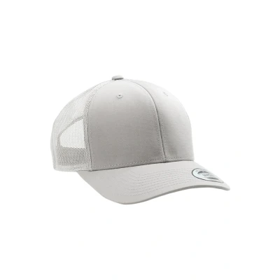Imagen de Flexfit Classic Gorra, Talla: One Size, Silver