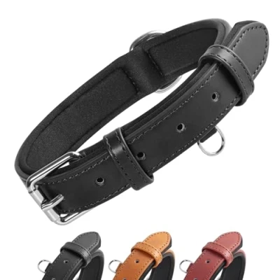 Imagen de Grand Line Collar de Perro Cuero, Collare Ancho y Grueso con Suave Acolchado，Collare en Piel Ajustables Resistentes para Perros Pequeños, Medianos, Grandes (Negro, S)