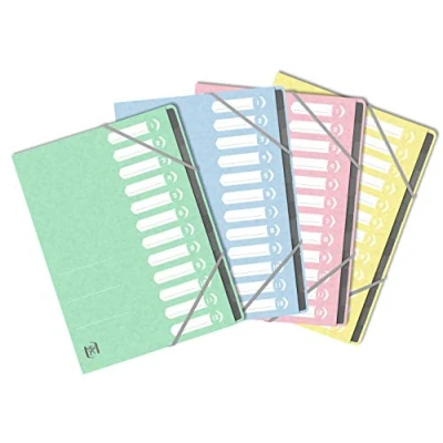 Imagen de OXFORD Clasificador TopFile+ 12 compartimentos A4 para tarjetas, colores surtidos