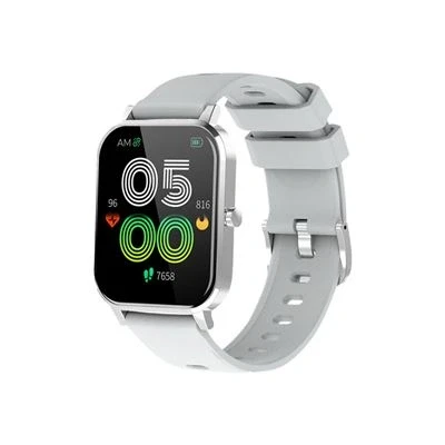 Imagen de Denver Smartwatch Electronics SW181 Gris 1,7&quot;