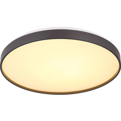 Imagen de Globo Plafón Eclypse LED, antracita, Ø 48 cm, acrílico/metal
