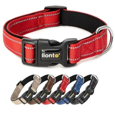 Imagen de lionto Collar de Perro Acolchado Nylon Reflectante Impermeable Ajustable, Tamaño S, Rojo