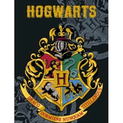 Imagen de Manta Polar Escudo DE Hogwarts Harry Potter 140 X 100 CM Certificación Calidad: Oeko Tex Standar