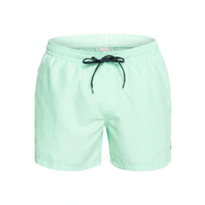 Imagen de Quiksilver Everyday Volley 15 Bañador, Hombre, Talla: Small, Beach glass