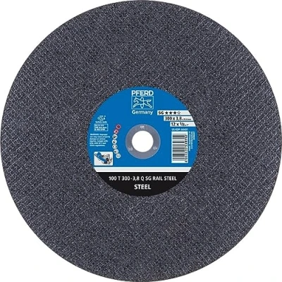 Imagen de Pferd Disco Corte 100T 300 3,8 A24 Q Sg R A.25