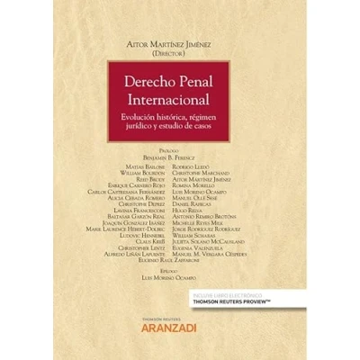 Imagen de Derecho Penal Internacional: Evolución histórica, régimen jurídico y estudio de casos: 1362 (Gran Tratado)