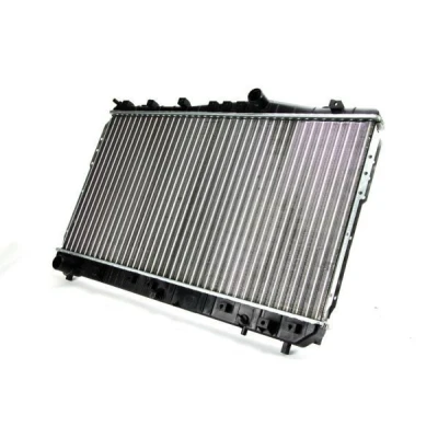 Imagen de Radiador, refrigeración del motor THERMOTEC D70013TT
