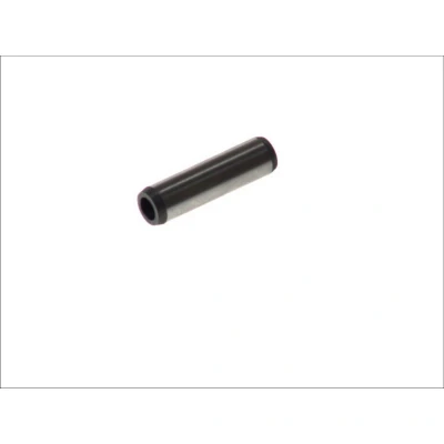 Imagen de IPSA VG095000 Guía de válvula 6 Fundición gris
