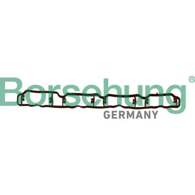 Imagen de Borsehung B19250 Junta Colector de Admision VOLKSWAGEN: Golf 5, Passat B6 Berlina, Multivan 5 (7HM, AUDI: A3 Hatchback, A4 B7 Avant