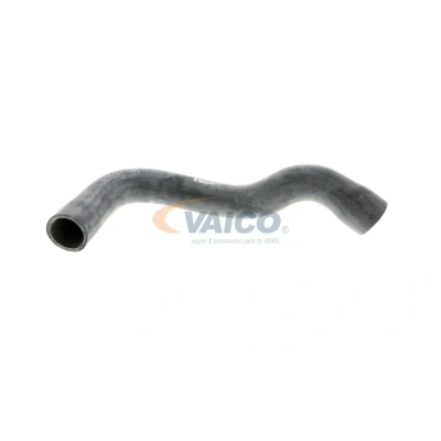 Imagen de VAICO V20 1242 Manguitos de Radiador debajo Q+, calidad primer equipo BMW: 3 Berlina, Coupé, Compact