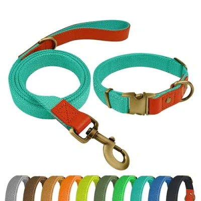 Imagen de Qianruida Juego de Collar y Correa para Perro, Ajustable Perros pequeños, medianos Grandes, Cian, XL