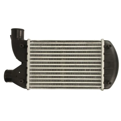 Imagen de Intercooler THERMOTEC DAF006TT