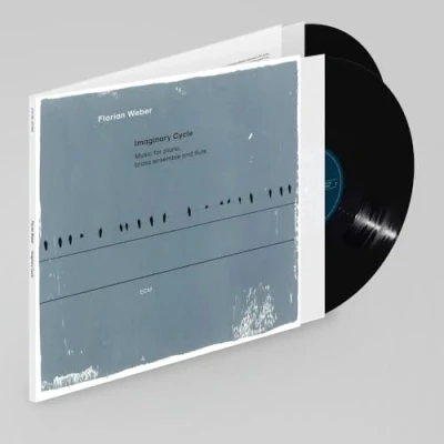 Imagen de Imaginary Cycle [Vinilo]