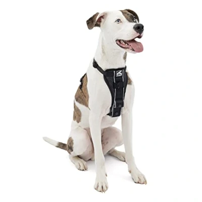 Imagen de Kurgo Tru Fit, Arnés de Paseo para Perros, A Prueba Choques, Incluye Correa Cinturón Seguridad, Negro, M