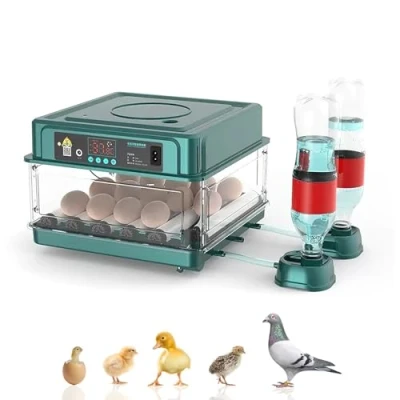 Imagen de Incubadora automática,Incubadora automática de huevos,incubadora 24/36 con sistema volteo automático y control temperatura,adecuado para huevos gallina,huevos codorniz (15