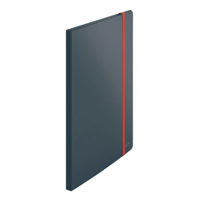 Imagen de Leitz Carpeta archivadora (A4PP 20Po), color gris