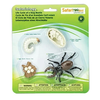 Imagen de Safari Ltd. Ciclo de Vida un Escarabajo Ciervo 43.9cm Contiene 4 Figuras Juguete No tóxico y Libre BPA Adecuado para niños 4+ años