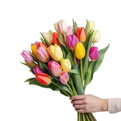 Imagen de DECOALIVE Ramo de Tulipanes Set 50 Flores Mix Color Bouquet Naturales Frescas Online