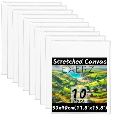Imagen de Exerz lienzo preestirado de 30 x 40 cm, 10 unidades, enmarcado 1,7 A3 280 g/m², 100 % algodón, triple imprimación, sin ácidos, grano medio, acrílico y aceite