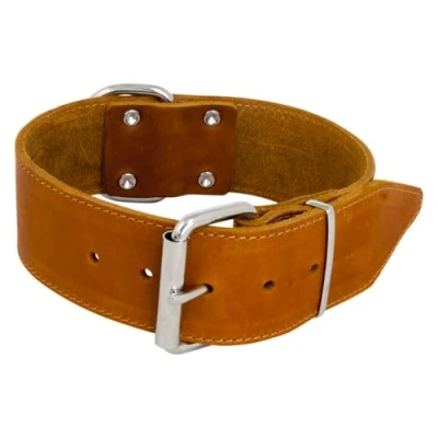 Imagen de JACK AND VANILLA, Collar Ancho para Perro, Modelo de Piel Grasa, Color coñac, tamaño 30 mm x 45 cm