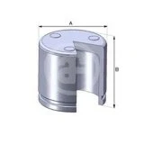 Imagen de AUTOFREN SEINSA D02551 Émbolo, pinza del freno 54 Eje delantero BOSCH RENAULT: MEGANE 2, Kangoo I Express, CITROËN: Xsara Hatchback