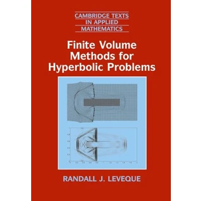 Imagen de Finite volume methods for hyperbolic problems