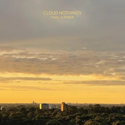 Imagen de Final summer [Vinilo]