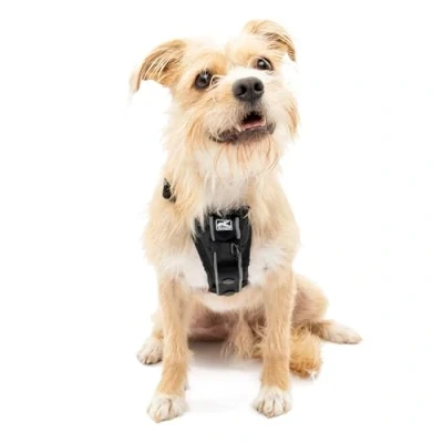 Imagen de Kurgo Tru Fit Arnés de Paseo para Perros, Adiestramiento Antitirones, A Prueba Choques, Incluye Correa Cinturón Seguridad Negro, S