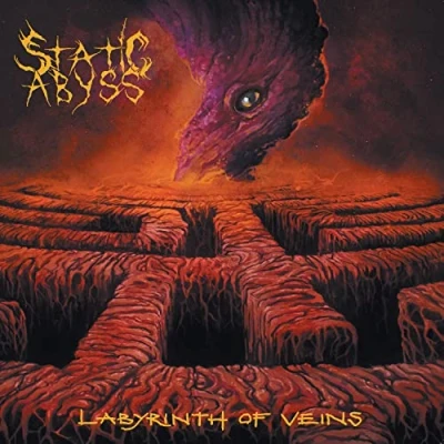 Imagen de Labyrinth Of Veins Vinilo